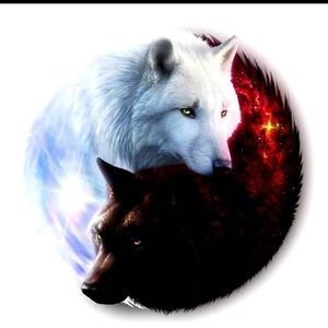 Meet your Posher, Blake